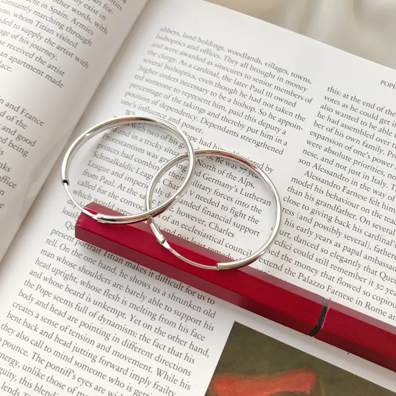 Fashion Big Hoop Huggie Earrings DA1412