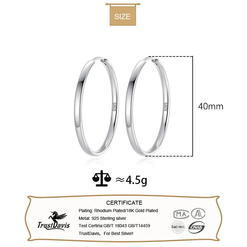 Fashion Big Hoop Huggie Earrings DA1412