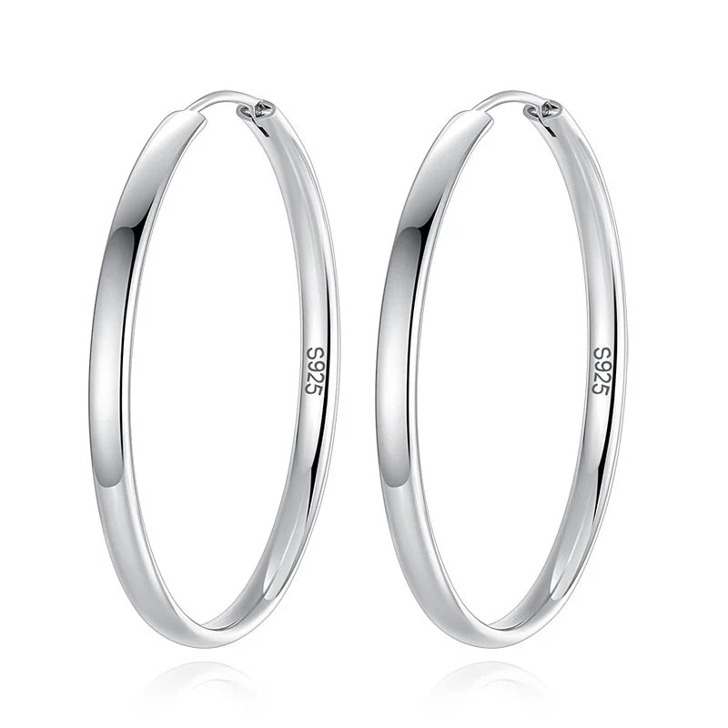 Fashion Big Hoop Huggie Earrings DA1412