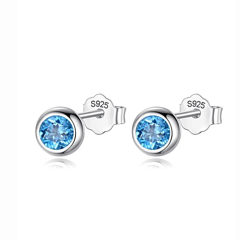 Blue Pink Zircon Stud Earrings DS742