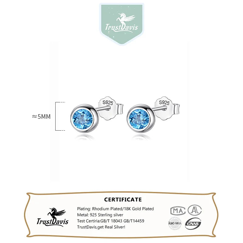 Blue Pink Zircon Stud Earrings DS742