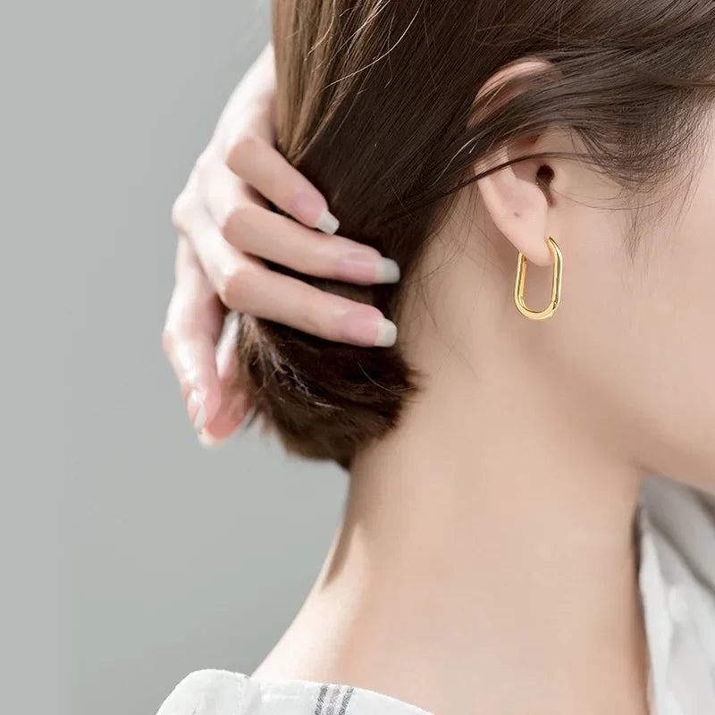 Fashion Sweet INS Ellipse Charm Hoop Earring DA2274