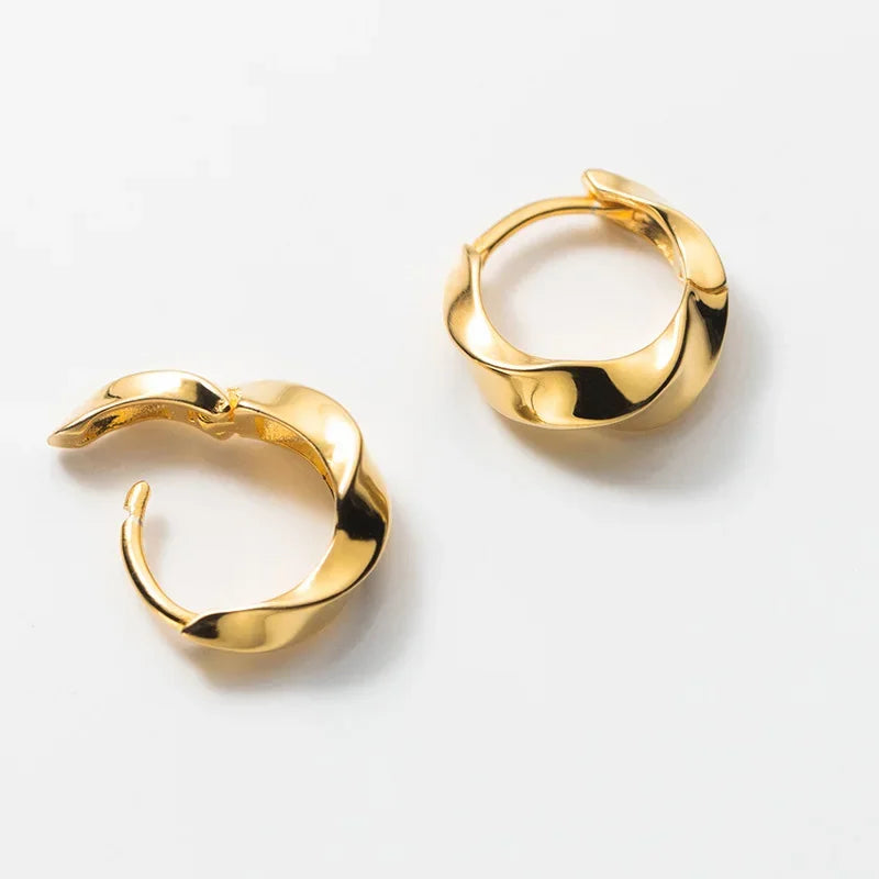 Hoop Earrings DS4258