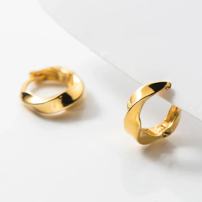 Hoop Earrings DS4258