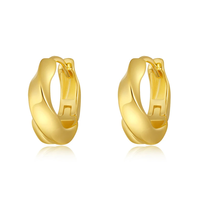 Hoop Earrings DS4258