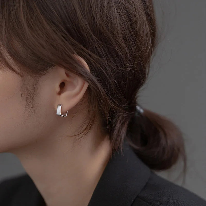 Fashion Smooth Surface Geometry Charm Hoop Earrings DA0048