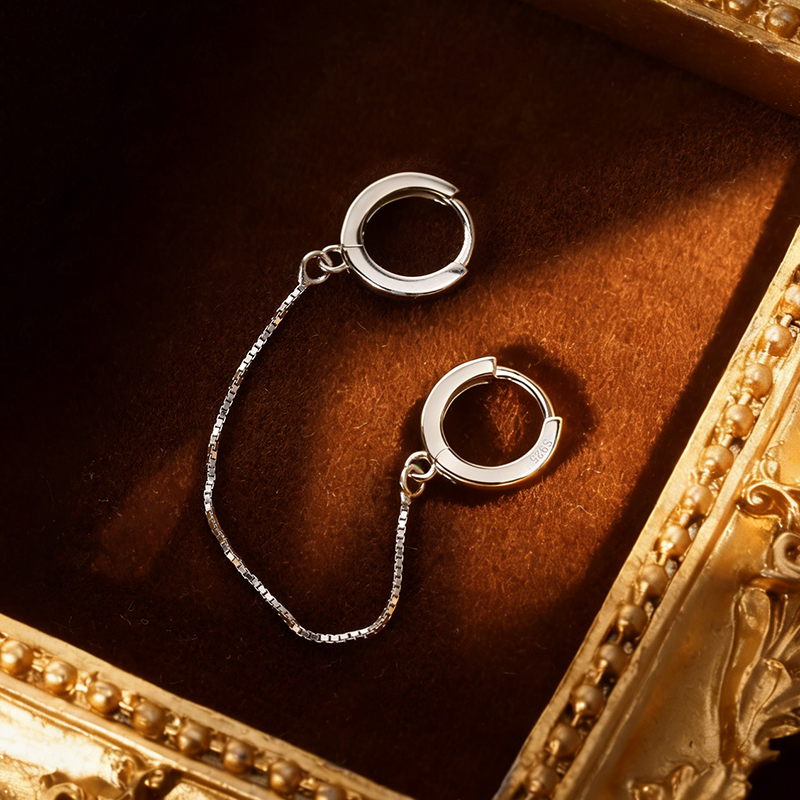 Fashion Box Chain Double Hoop Earrings DA2275