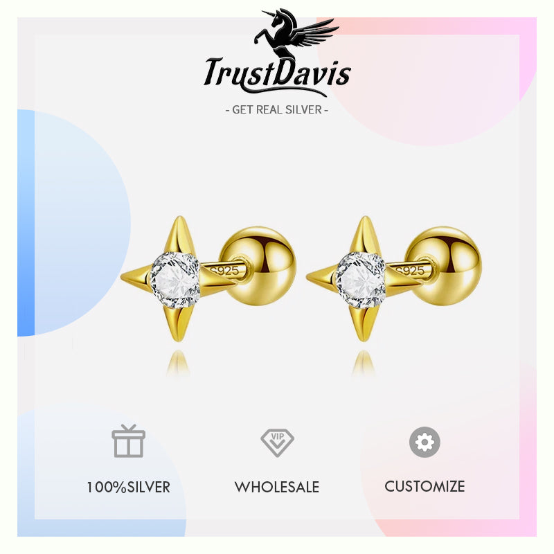 Minimalist Star Zircon Screw Stud Earrings DS4617