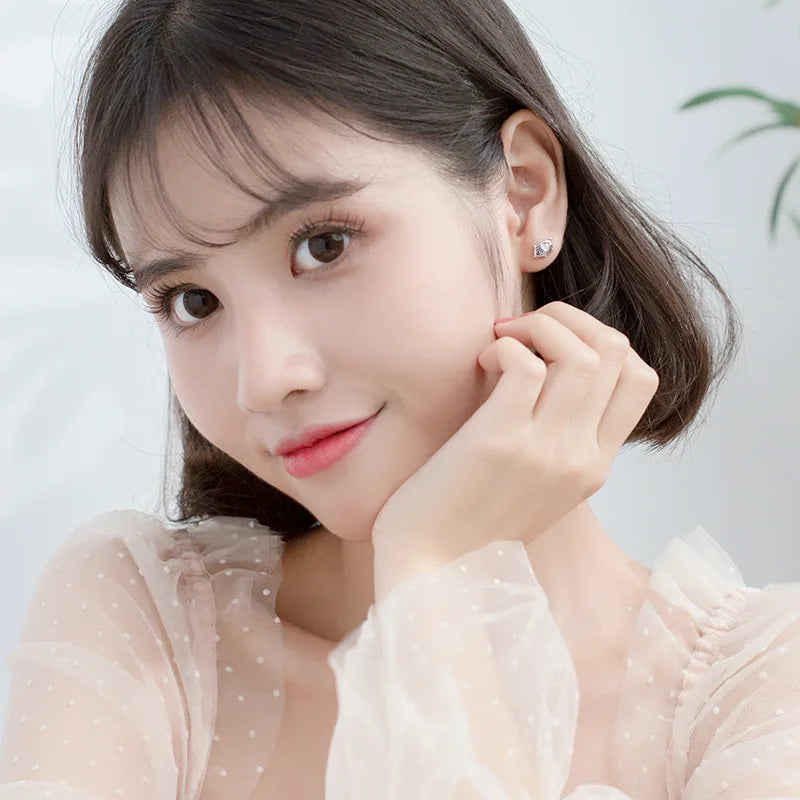 Fashion Animal Pig Stud Earrings DA90
