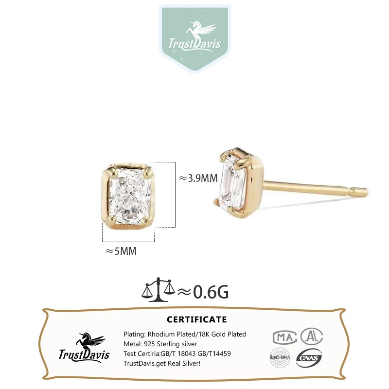 Square Zircon Stud Earrings DS4800