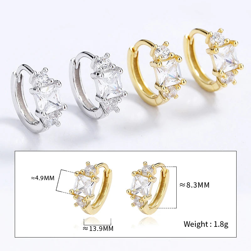 Square Cat's Paw Heart CZ Pendant Hoop Earrings DG0190