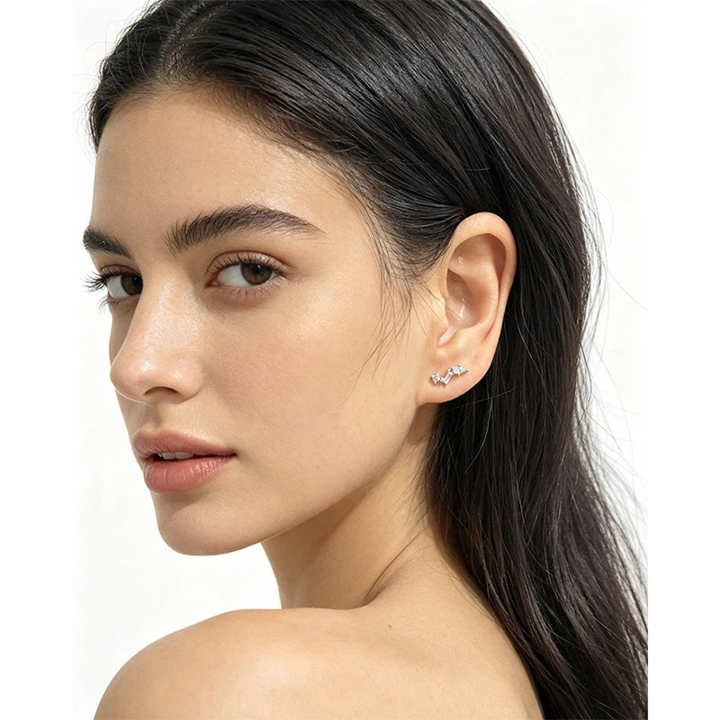 Irregular Zircon Stud Earrings for Women Daily Wear Jewelry Gift DS4991