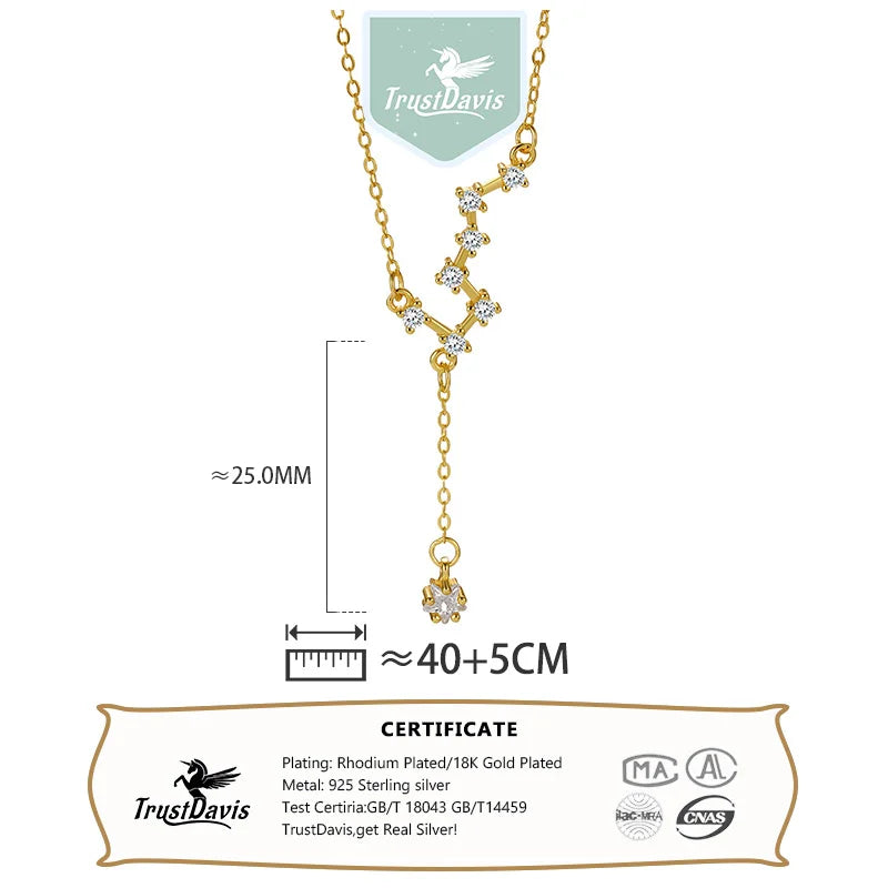 TrustDavis 925 Sterling Silver Women's  Fashion Sweet Big Dipper Tassel Necklace for Women Girls Jewelry Gift DS4274