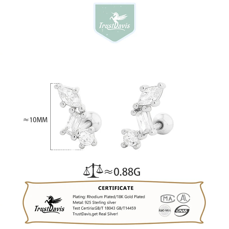 Irregular Zircon Stud Earrings for Women Daily Wear Jewelry Gift DS4991