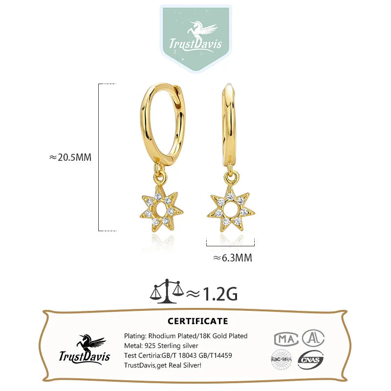 Hollowed-out Star Zircon Stud Earrings DS4910
