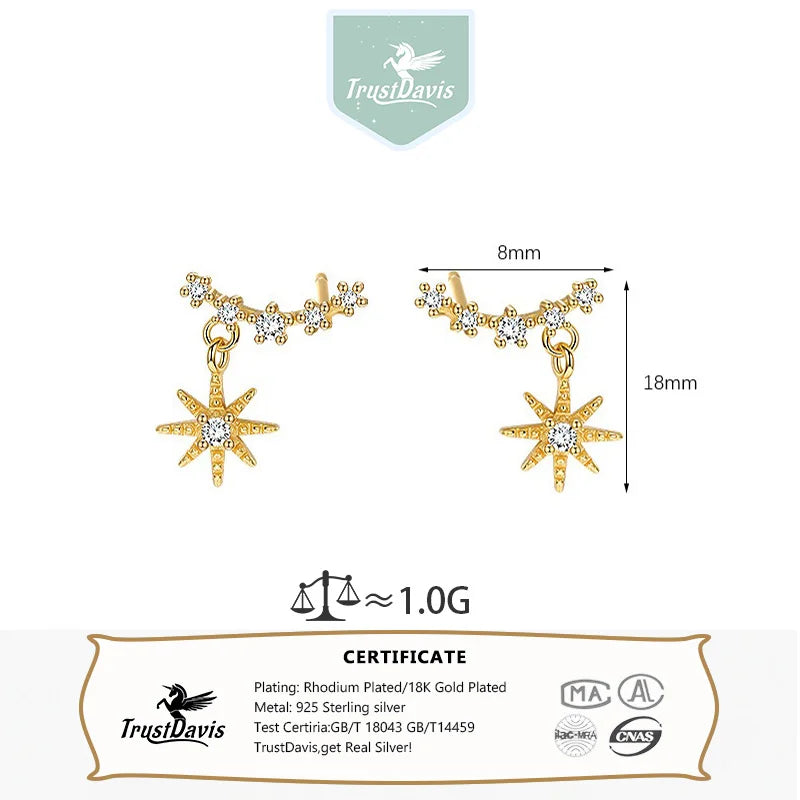 TrustDavis 925 Sterling Silver Women's Fashion Simple Starry Sky Zircon Tassel Earrings for Women Girls Jewelry Gift DS4338