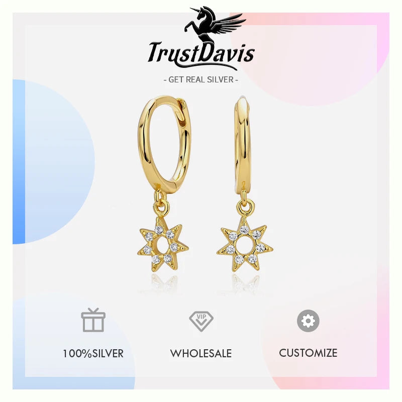 Hollowed-out Star Zircon Stud Earrings DS4910