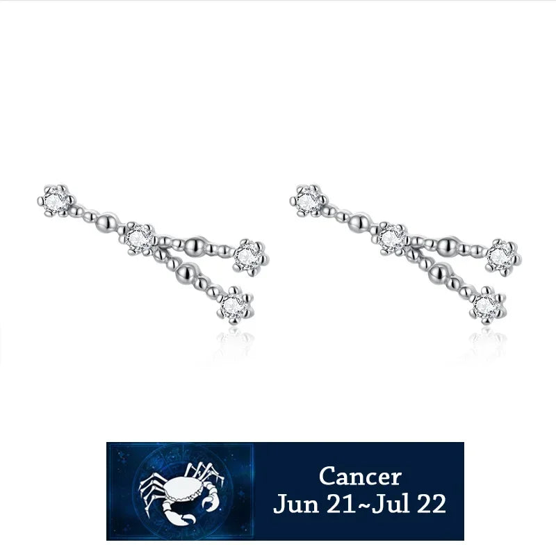 Trustdavis 100% 925 Solid Real Sterling Silver Jewelry 12 Constellation Stud Earrings Birthday Gift For Women Girls DA330