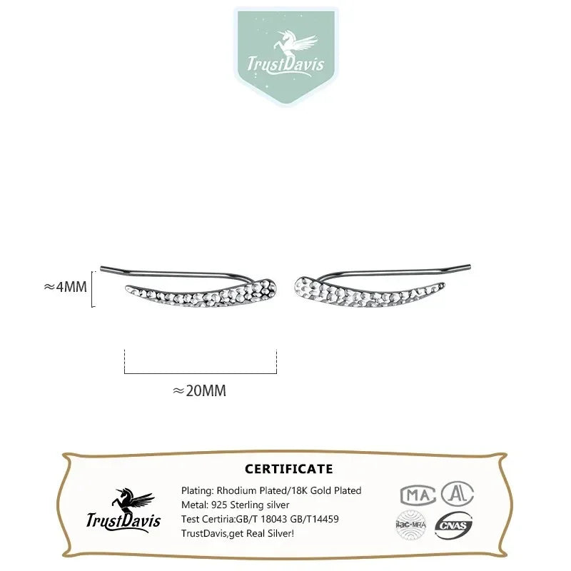Geometric Ear Hook Earrings DS4096