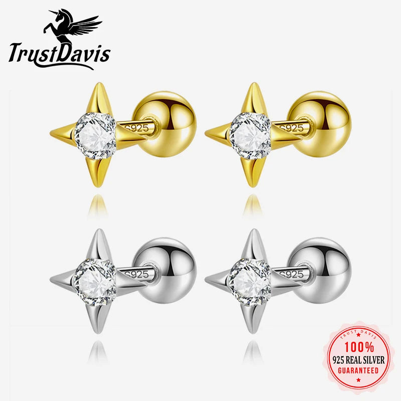 Minimalist Star Zircon Screw Stud Earrings DS4617