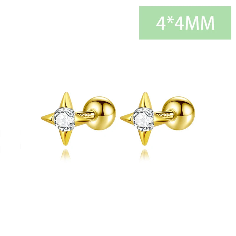 Minimalist Star Zircon Screw Stud Earrings DS4617