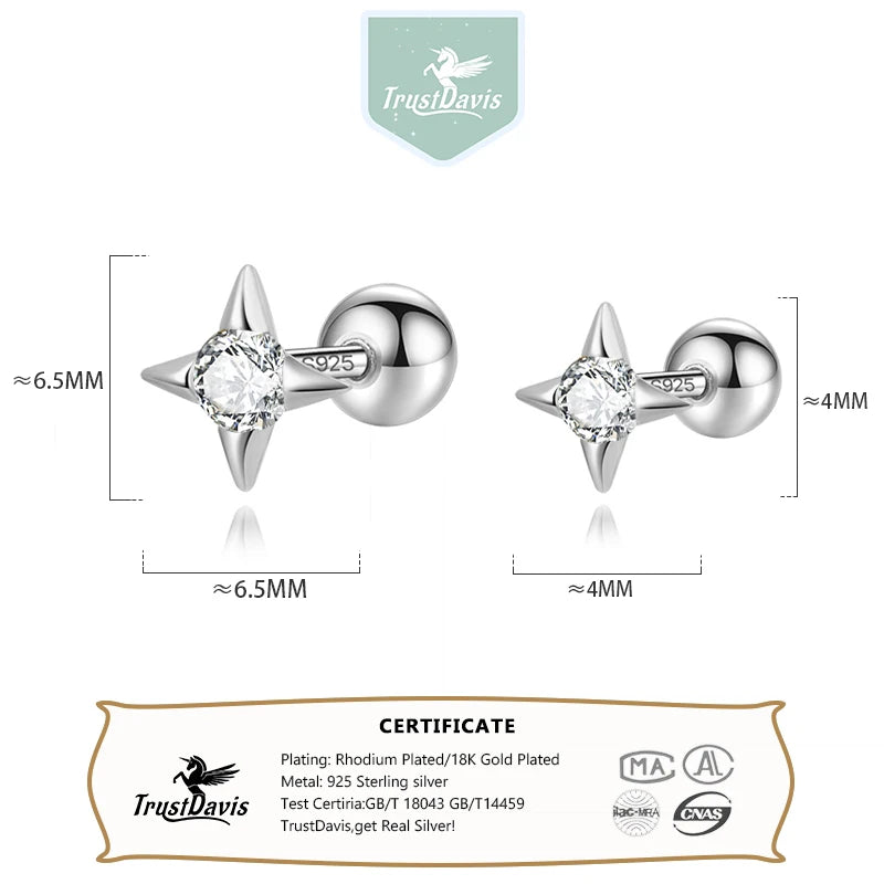 Minimalist Star Zircon Screw Stud Earrings DS4617