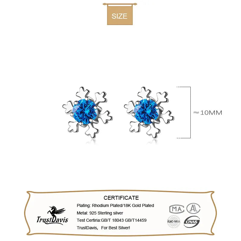 Winter Snowflake CZ Stud Earrings Gift DS3365