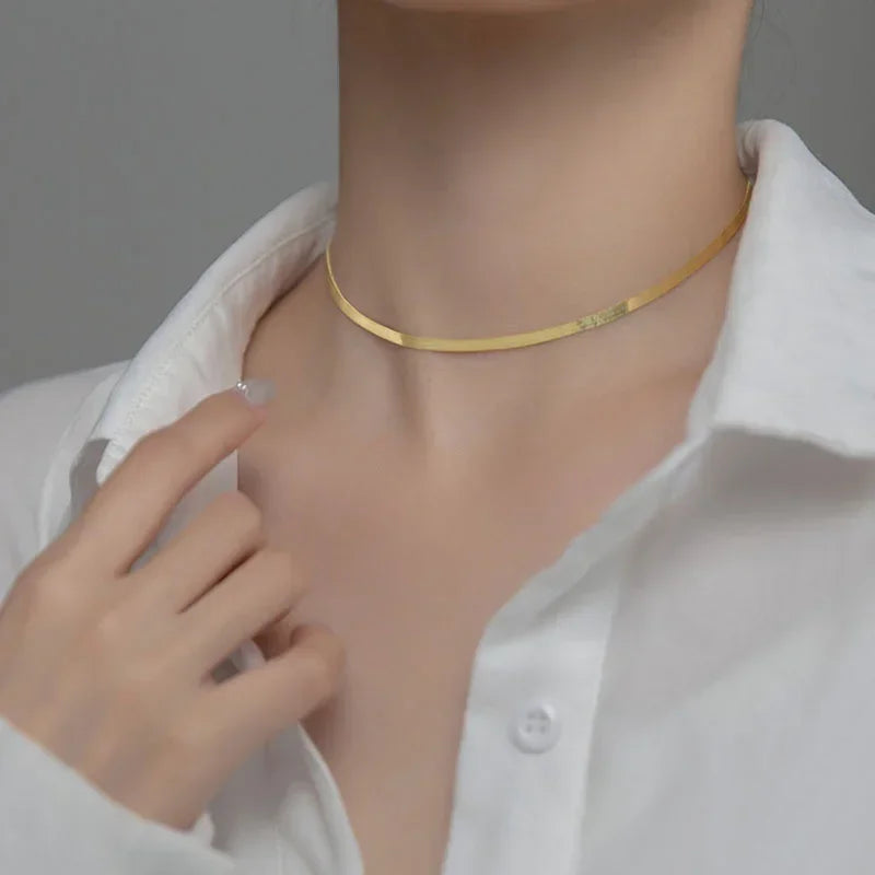 Simple Snake Chain Clavicle Charming Necklace DB1268