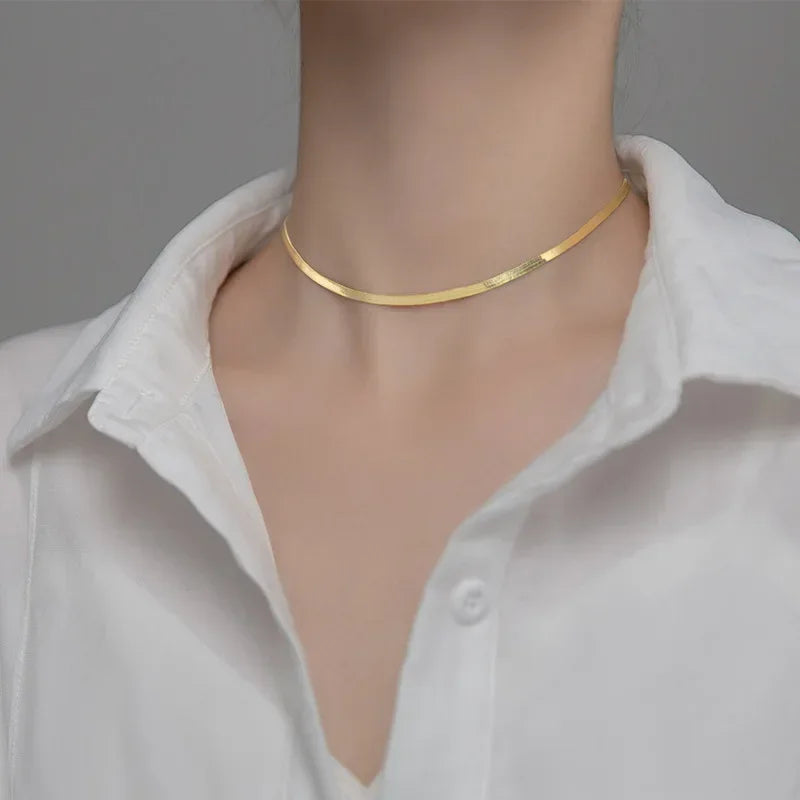 Simple Snake Chain Clavicle Charming Necklace DB1268