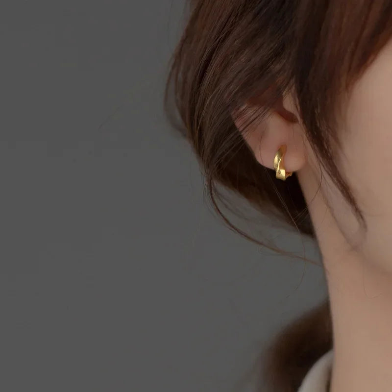 Hoop Earrings DS4258