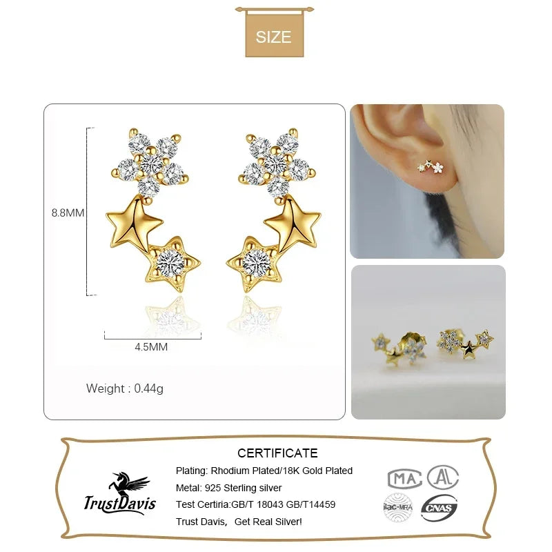 Star Zircon Stud Earrings 14K Gold Plated L096