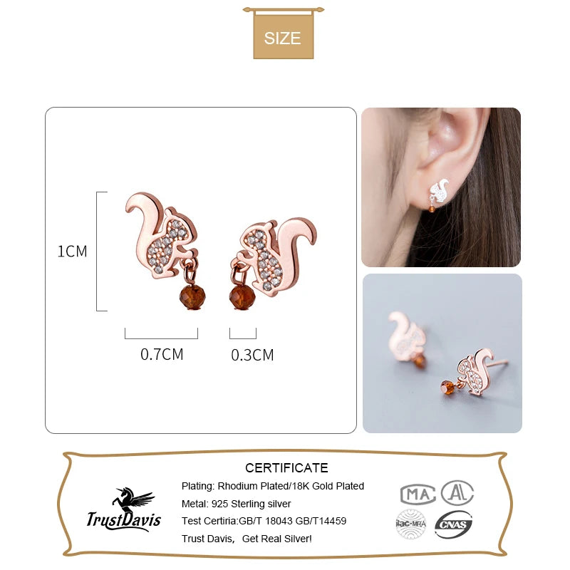 Sweet Little Squirrel Dazzling CZ  Earring DS2441