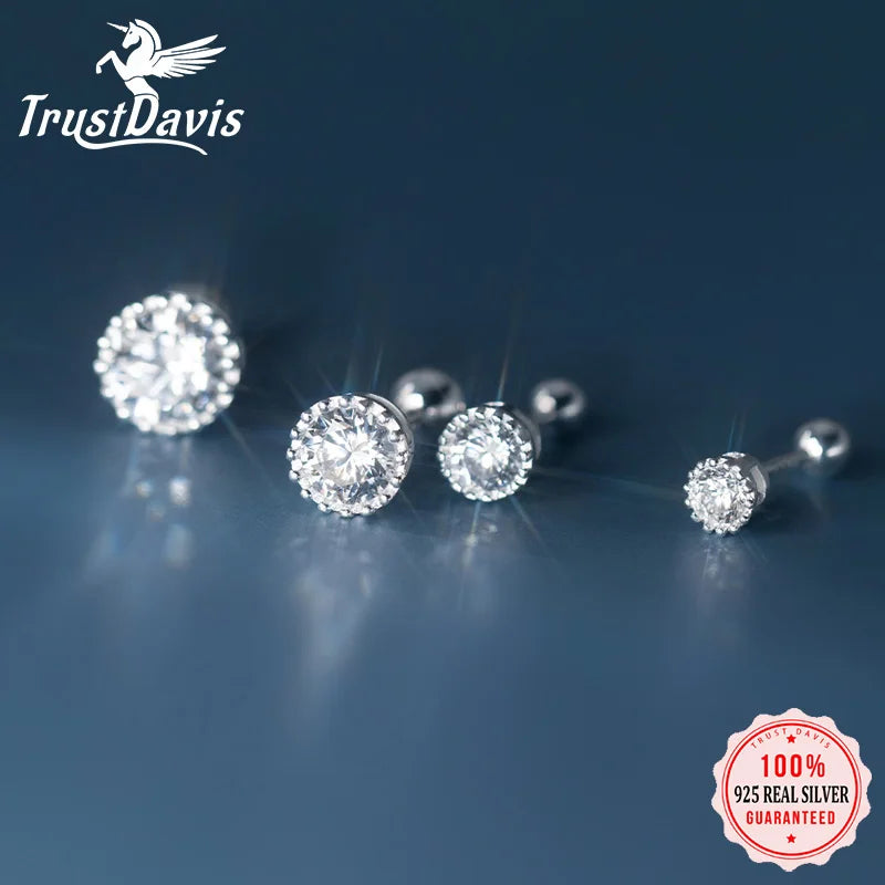 Minimalist  Zircon Screw Stud Earrings DS3503