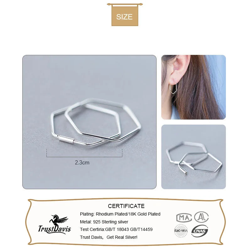 Fashion Cute Hexagon Hoop Earrings DS133