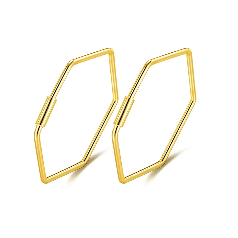 Fashion Cute Hexagon Hoop Earrings DS133