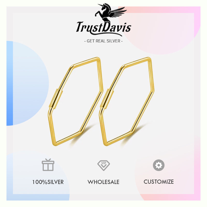 Fashion Cute Hexagon Hoop Earrings DS133